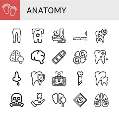 Set of anatomy icons