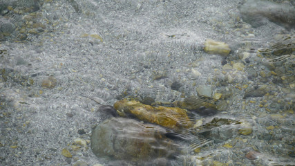 Mountain river with clear water, waves on the surface of the water, transparent bottom. Stones in the river.