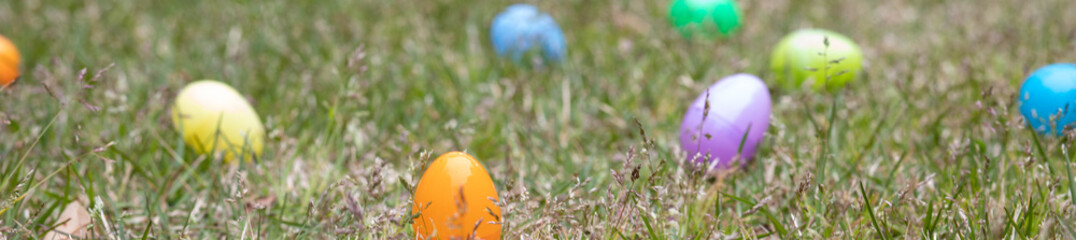 easter eggs in the grass