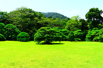 Naklejka premium 日本の夏