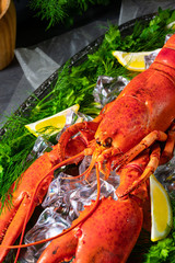 the cooked lobster on ice
