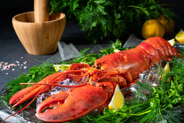the cooked lobster on ice