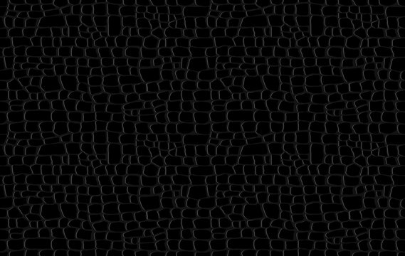 Crocodile skin pattern. Black viper, drawing on the snake skin. Reptile surface monochrome croc leather texture. Animal background for printing. Vector wallpaper
