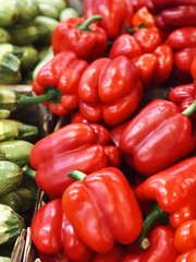 Obraz na płótnie Canvas Red pepper harvest