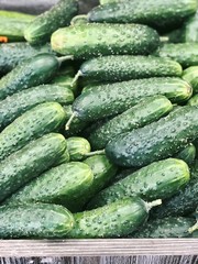 Cucumbers for food patterns