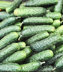 Cucumbers for food patterns