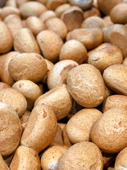 many small buns from bakery shop