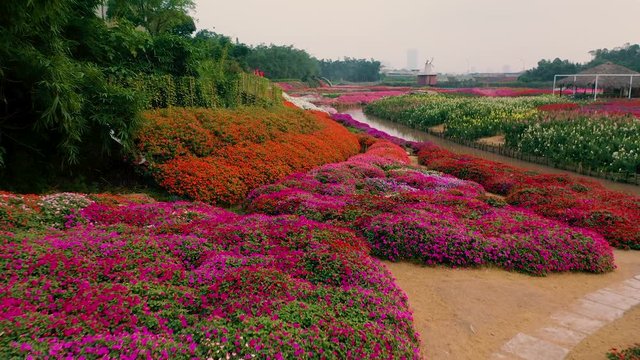 HANOI, VIETNAM - APRIL, 2020: Aerial drone view of the flower garden with flower beds and view in the downtown of Hanoi.