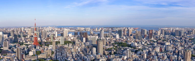 Obraz premium Panorama Tokyo city skyline with Tokyo Tower at dusk in Japan, Colorful color - Image