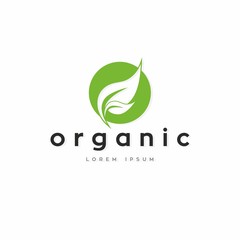 Logo of ORGANIC Word . Ecology Icon - Isolated on White Background. Graphic Design, Editable mnemonic, illustration