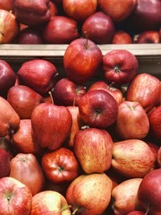 Red apples harvest top view for food wallpapers
