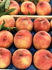 Fresh peaches for food patterns
