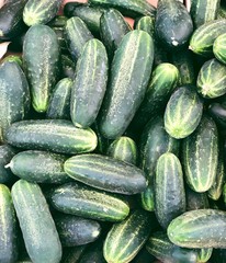 Cucumbers for food patterns