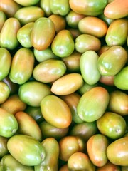long tomatoes harvest for backgrounds