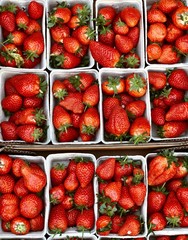 strawberry harvest in separate boxes
