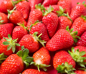 Ripe juicy orgaic strawberries on a red background.