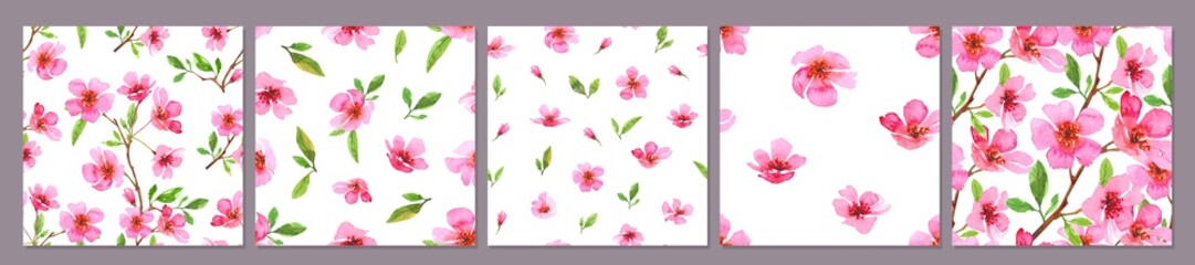 Set of seamless patterns watercolor cherry blossom flowers. Sakura beautiful spring floral collection. Colorful illustration on white background. Perfectly for wallpaper, print, fabric