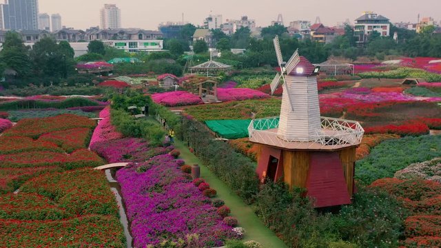 HANOI, VIETNAM - APRIL, 2020: Aerial panorama view of the flower garden with decorative mill in Hanoi.