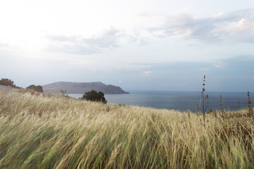 view of the mountain in the sea. grass in defocus in the foreground. Mount Meganom. morning landscape.