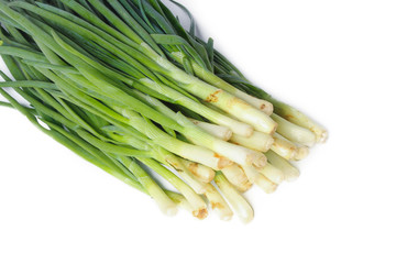 Chives