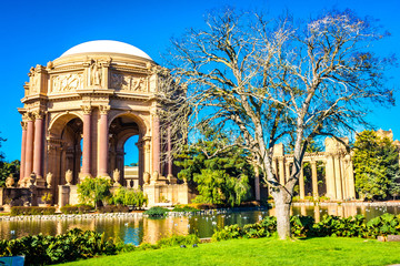 Paisagens e parques em São francisco