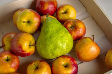 fresh apples and pears