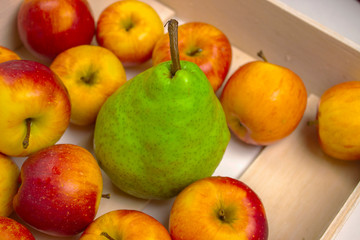Naklejka na ściany i meble apples and pears on a plate