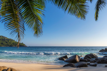 Exotic Tropical beach at sunset and coconut palms on Seychelles. Summer vacation and tropical beach concept.	