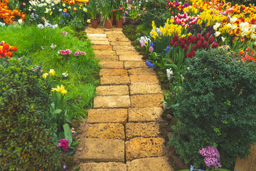 stone path in the garden with a flower bed , many colorful flowers on the edges of the path,