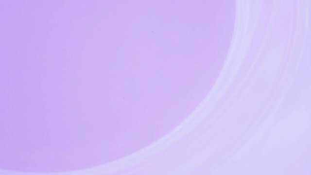 purple roll and circle abstract background