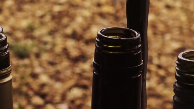 Necks of empty wine bottles next to some railings in a garden. Sliding sideways shot.