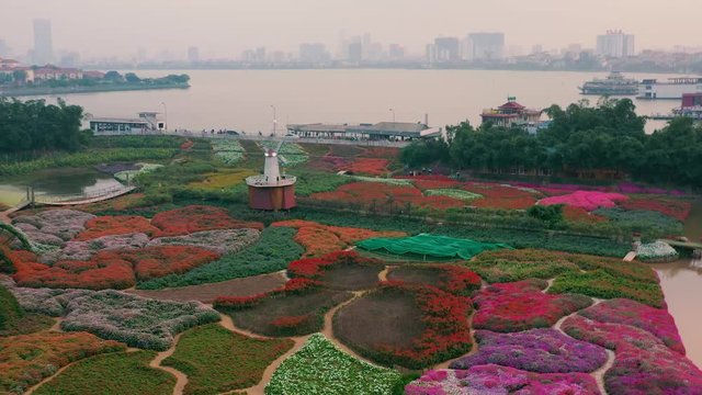 HANOI, VIETNAM - APRIL, 2020: Aerial view of the flower garden with decorative mill and view of the west lake of Hanoi.