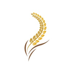 Wheat logo vector icon