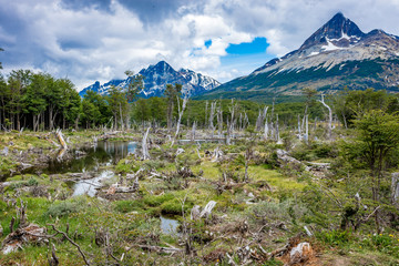 Ushuaia Landscapes