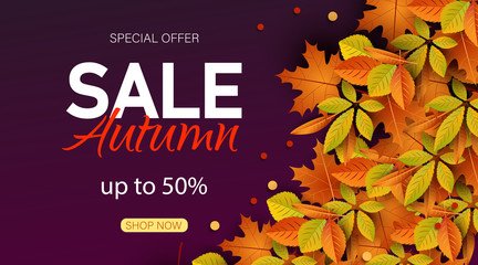Big autumn sale. Autumn sale vector background.