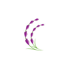 lavender floral aromatic logo vector icon illustration