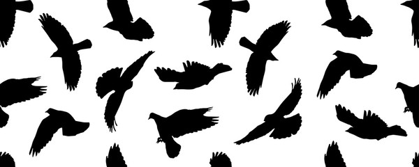 Fototapeta na wymiar Seamless pattern of black flying birds on white background, isolated silhouettes. Vector illustration.