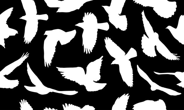 White silhouettes of flying birds on black background, seamless pattern. Vector illustration.