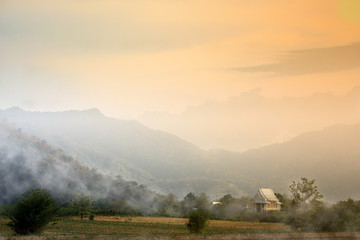 The Buddhist temple churches are in the midst of the jungle.