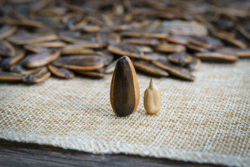 Sunflower seed  stands  on a sack background.