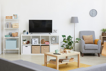 Image of domestic modern living room with big TV in the house