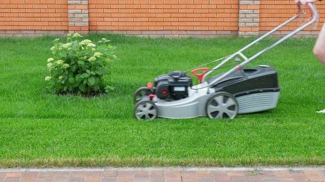 Woman mows grass with a lawn mower on a brick wall background. Work in the garden. Side view.