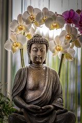 A decorative Buddha surrounded by orchids in a winter garden, taken in HDR.