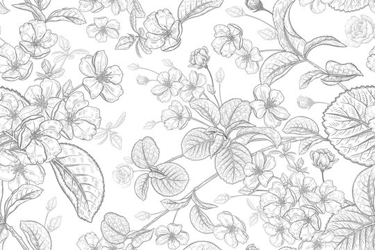 Floral vintage seamless pattern with Japanese cherry. Black and white.