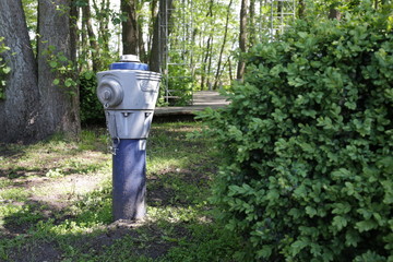 Hydrant w parku