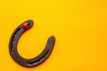 Lucky symbols. Old rusty horseshoe and ladybug on a yellow background.