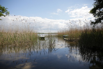 łodzie przy brzegu ,jezioro Miedwie