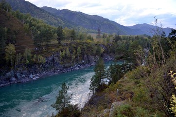 mountain river in yosemite national park