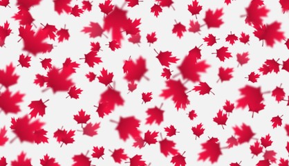 Falling red maple leaves background. Canada Day, July 1st celebration concept. Flying autumn foliage isolated on a gray backdrop. Modern style vector illustration for banners, posters, flyers, etc.