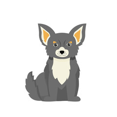 Grey terrier flat color vector character. Domestic animal on walk. Pet sitting and daycare. Dog beauty salon. Puppy sit isolated cartoon illustration for web graphic design and animation